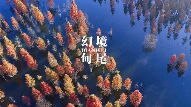 茂密丛林逃生