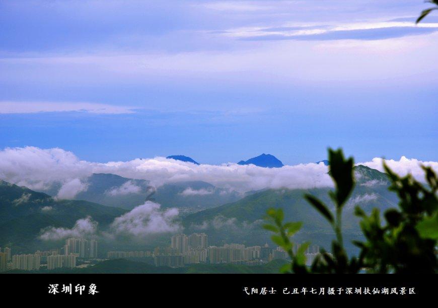 14名老人均系安全带逃过一劫