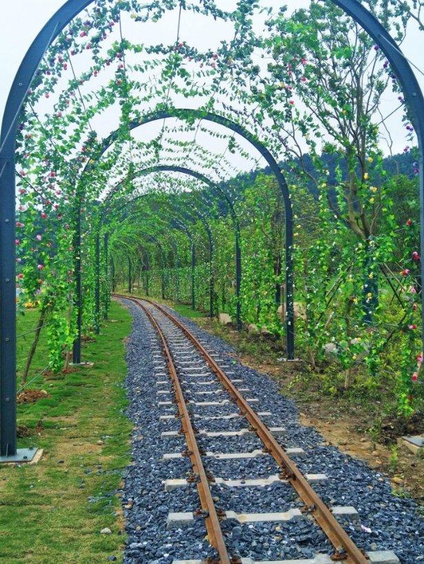守护僵尸女友