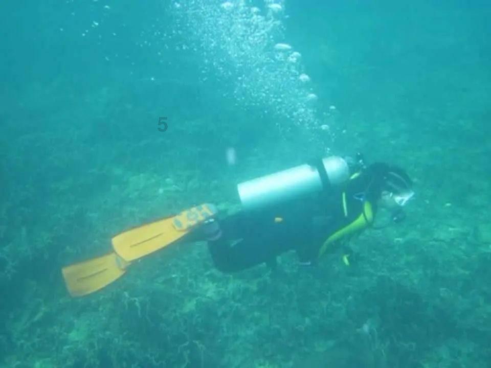 大话西游手游