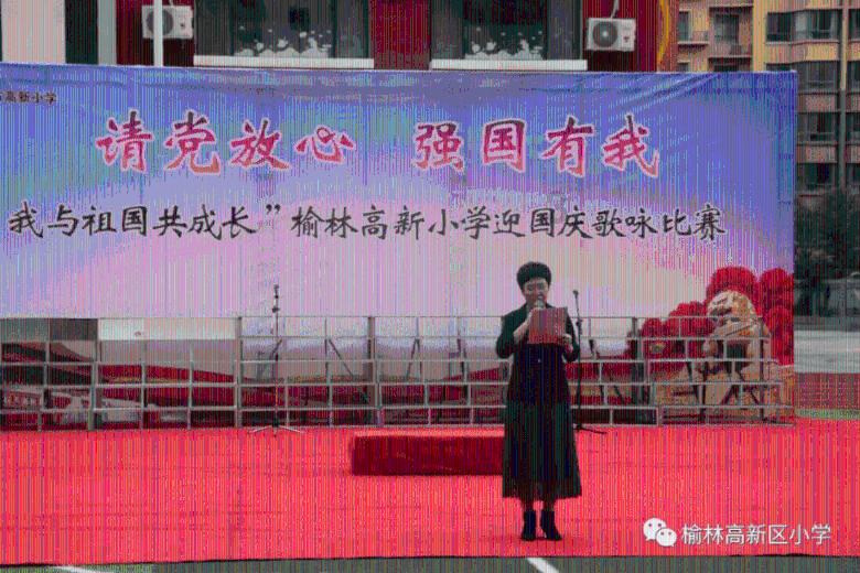 口袋森林世界杯防守战