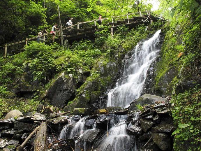 常用“黄芪”泡水喝,过段时间,这4个“问题”或许能得到改善