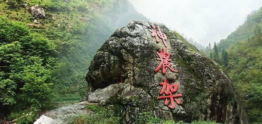 网上预约挂号的app游戏画面