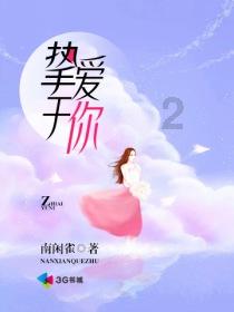 福莱纳找车轮