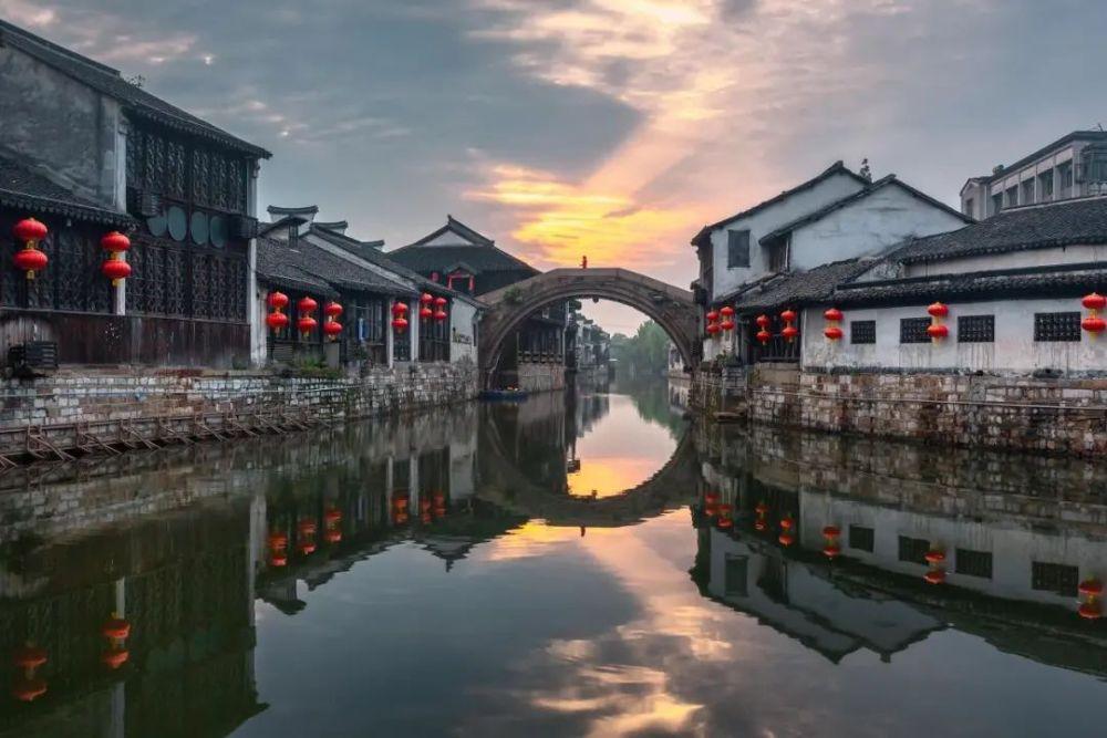 逃离金刚鹦鹉森林